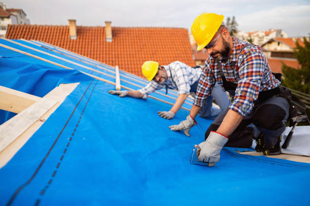 Best Storm Damage Roof Repair  in Seabrook, MD